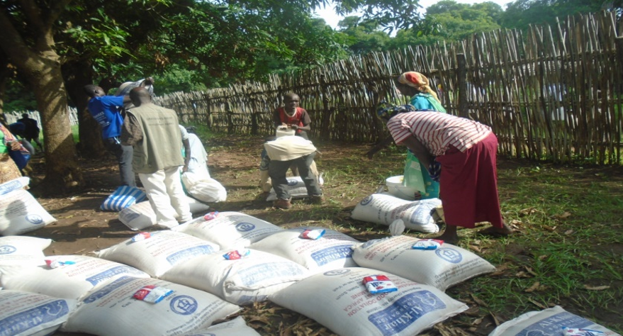 Relief Project
